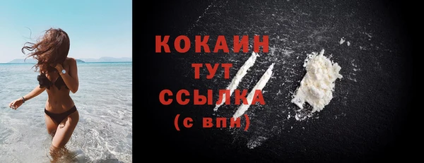 прущая мука Пересвет