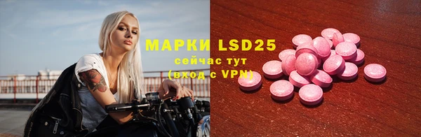 ешки Шадринск