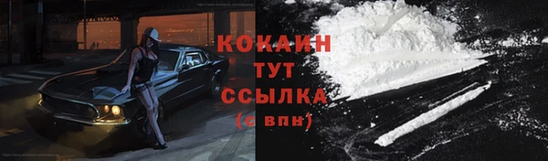 прущая мука Пересвет