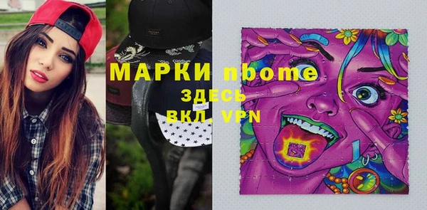 хмурый Пестово