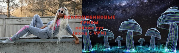 прущие крисы Переславль-Залесский