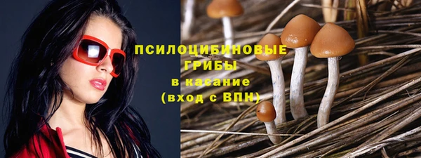 прущие крисы Переславль-Залесский