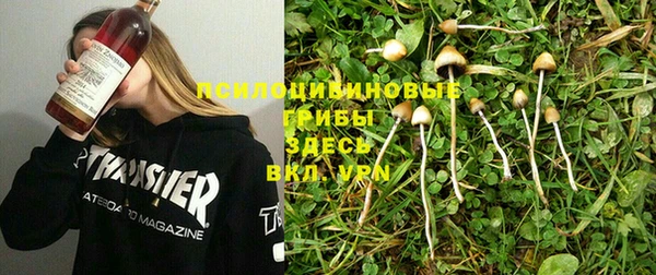 хмурый Пестово