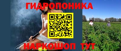 прущие крисы Гай