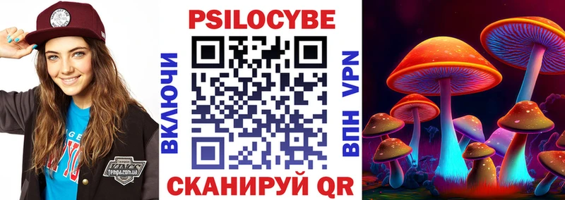 Псилоцибиновые грибы мицелий  магазин продажи   Губаха 