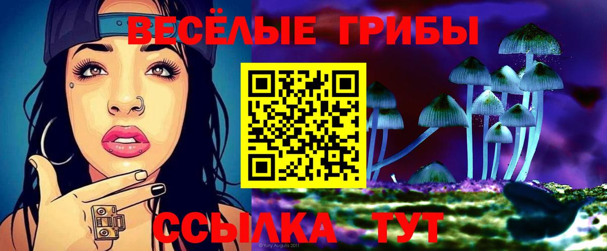 Галлюциногенные грибы ЛСД Губаха